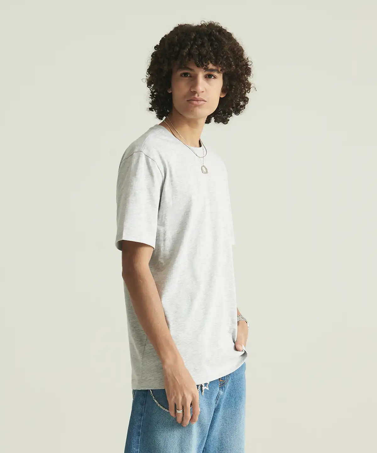 The awdis 180 t